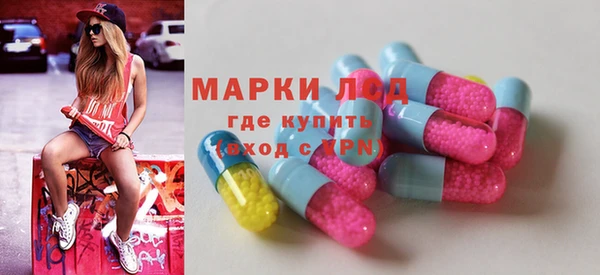 МДПВ Снежинск