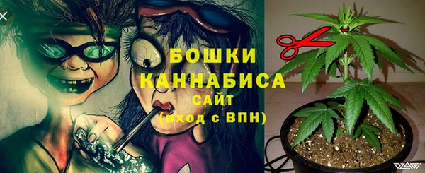 МДПВ Снежинск