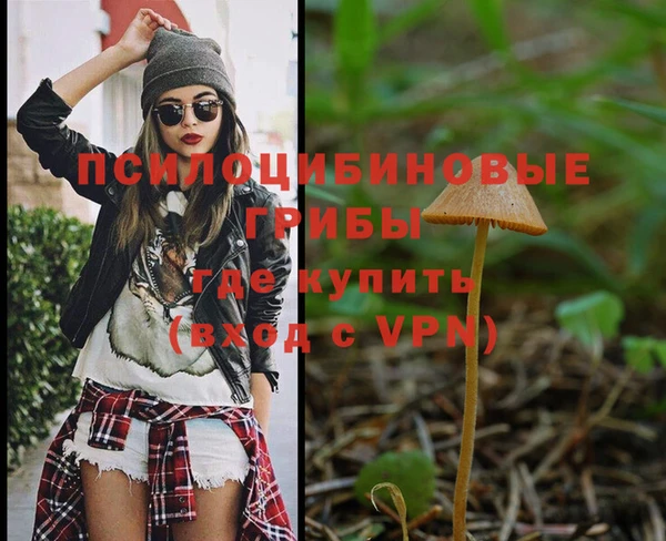 амфетамин Снежногорск